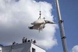 Aufstellung Foto Klaus Kuschek